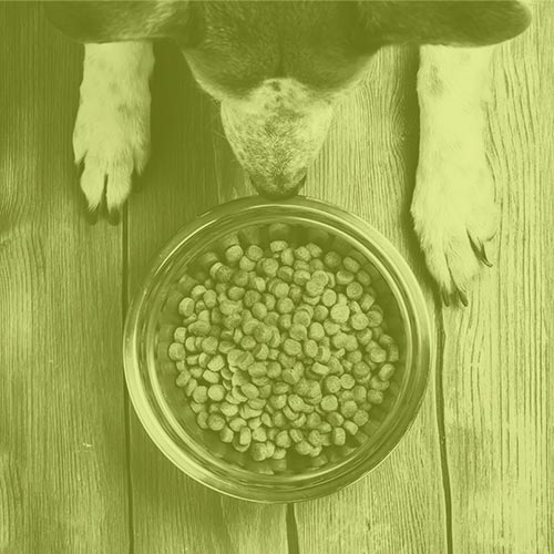 dog-food-with-cbd-oil